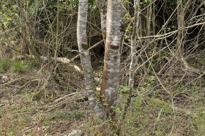 Valle del Farma e Stagno della Troscia: luoghi meravigliosi!